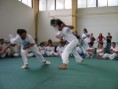 4° Incontro Internazionale di Capoeira A Milano 19 e 20 Giugno 2002